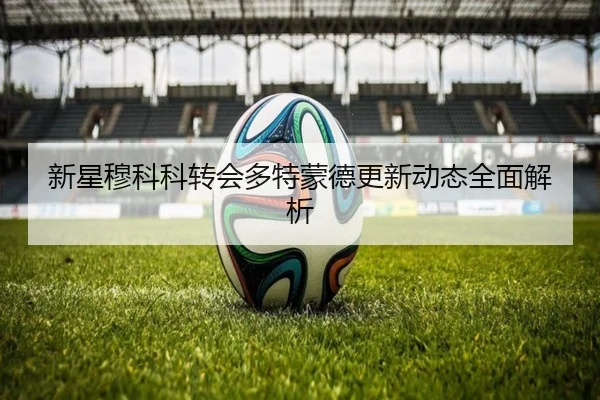 新星穆科科转会多特蒙德更新动态全面解析